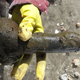 Illustration for article titled Archeologists Found an 18th Century Dildo In a Toilet
